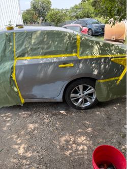 Paint body