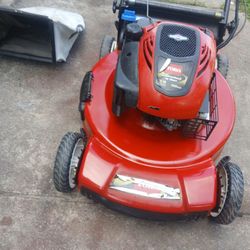 190cc Self Propelled Mower With Bag