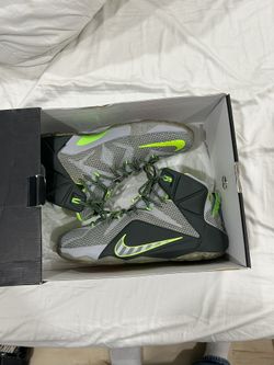 LeBron 12 Dunk man