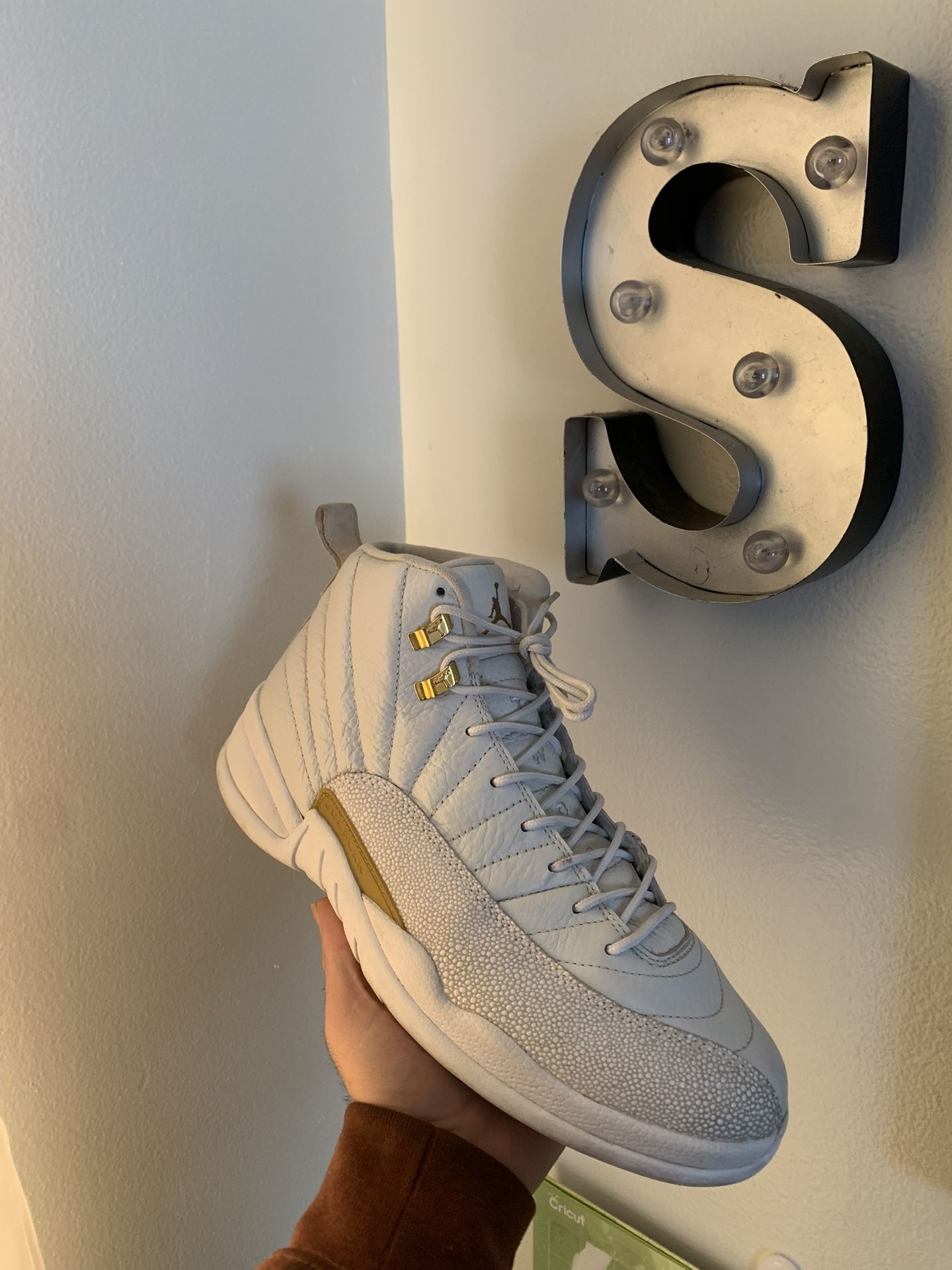 OvO Retro Jordan 12’s (white Colorway)