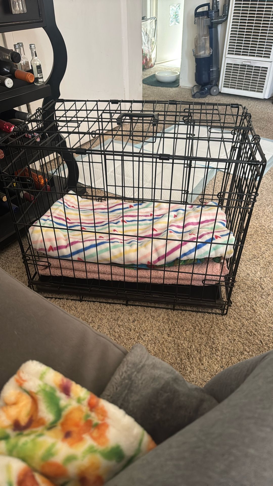 Dog Kennel