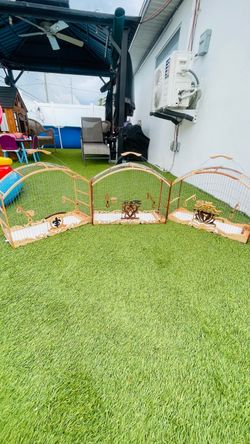 Jaulas para pájaros