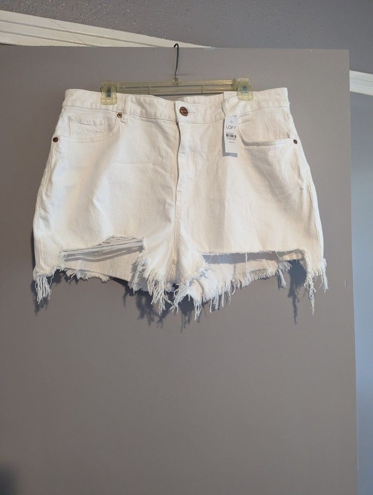 NWT_ LOFT_ The Curvy High Waist Cut Off Shorts-size 14/32