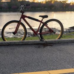BIG RIPPER MINT CONDITION (TRADES)
