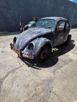 Vw bug