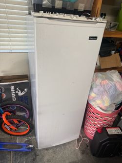 Stand Up Freezer