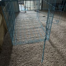 Dog Kennel