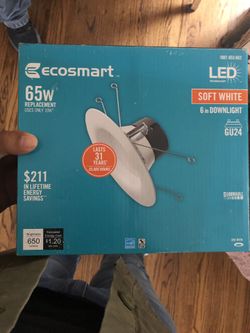 Ecosmart dimmable lights