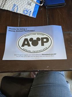 Disney Annual Pass Holder Magnet