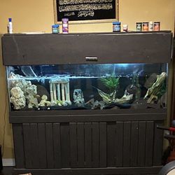 125gal Fish tank