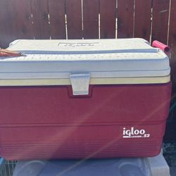 Igloo Chest Cooler