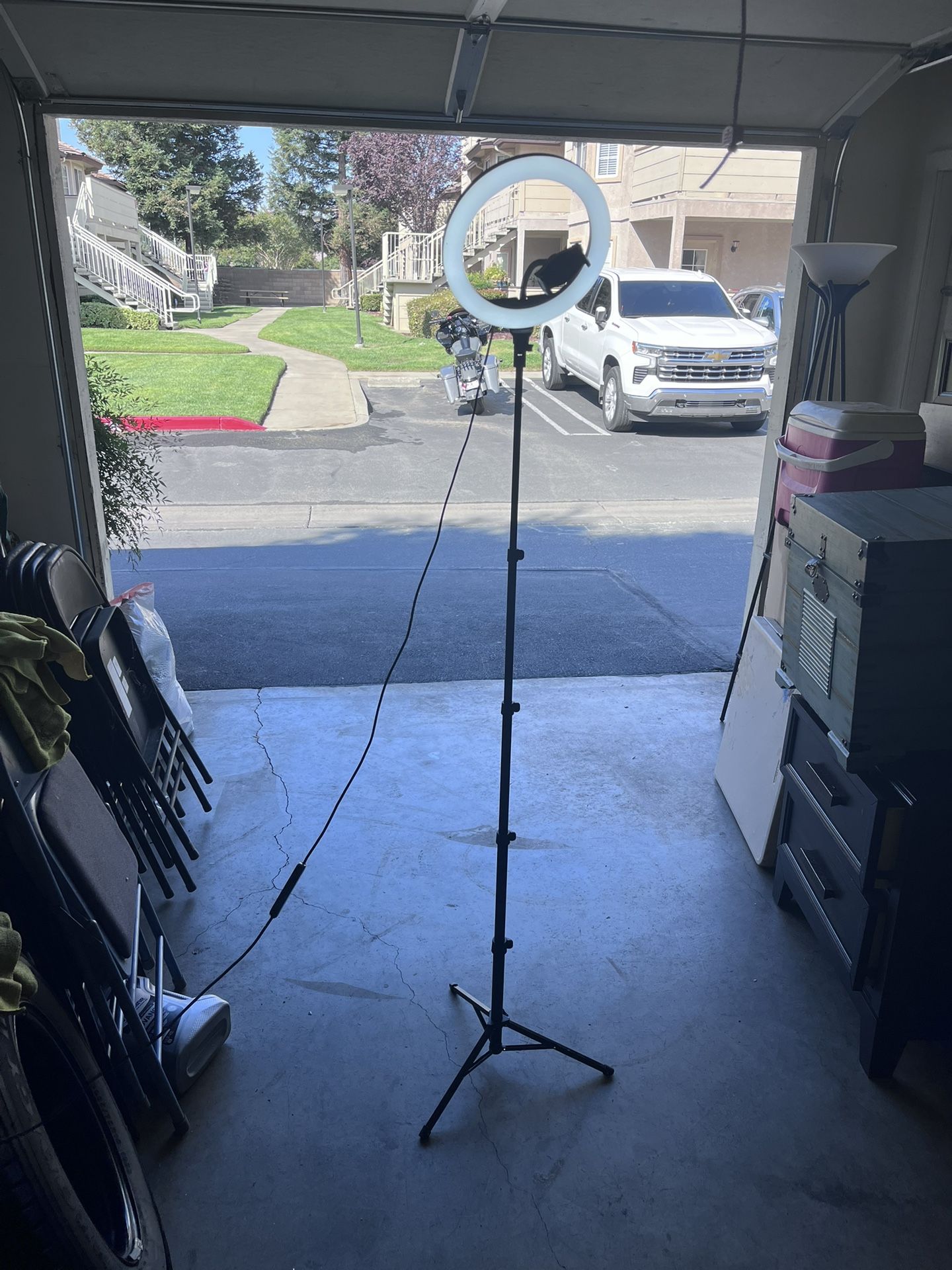 Ring Light With Phone Holder