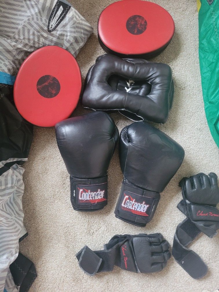 Boxing Ufc Gloves And Pads.