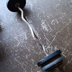 Curl Bar With 95lbs
