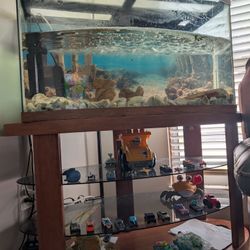 Bow Fish Aquarium 60 Gallon 