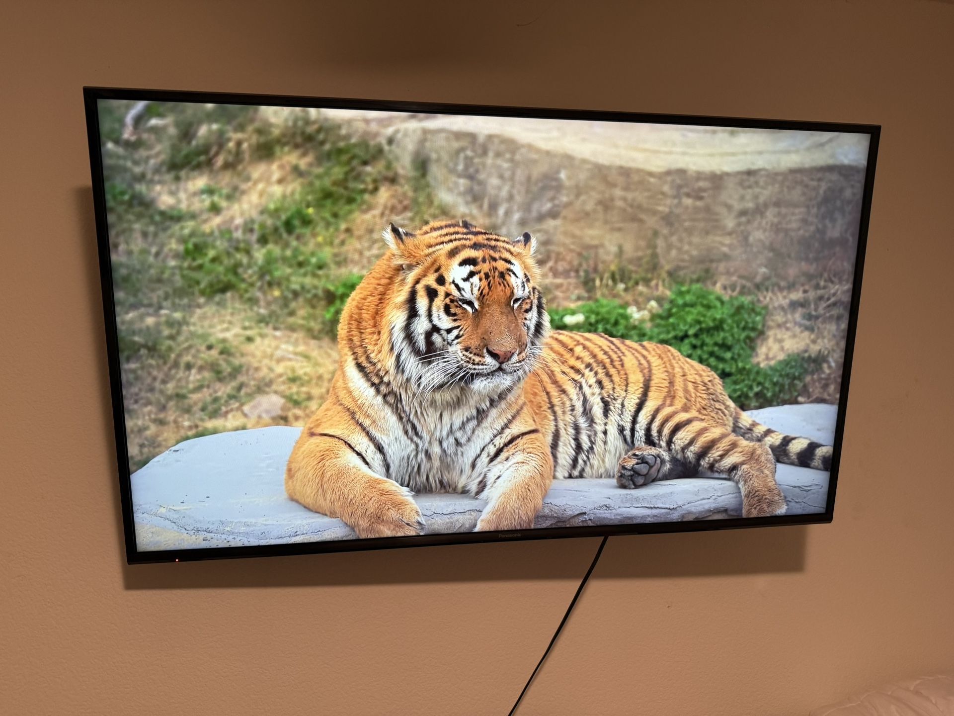 55 In Panasonic TV