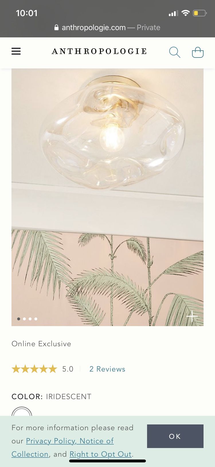 Anthropologie Ceiling Lamps