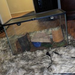 10 Gallon reptile tanks, hides, and more 