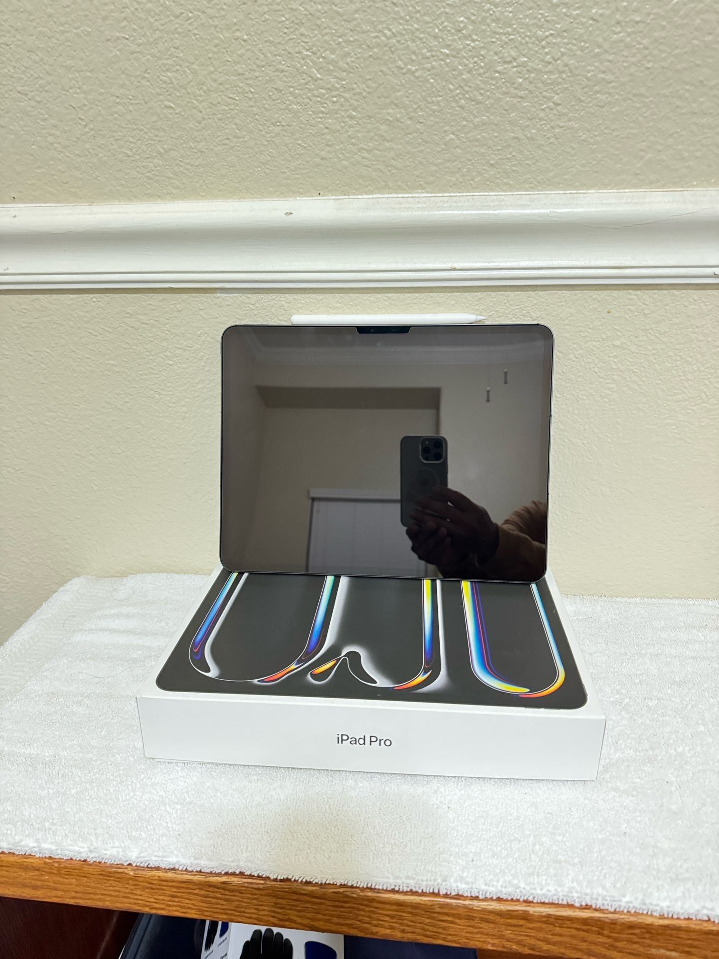 Ipad Pro M4 256GB