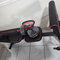 Workout Bench