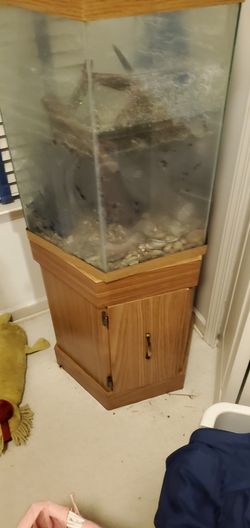Hex Fish Tank