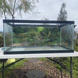 40 gallon Aquarium