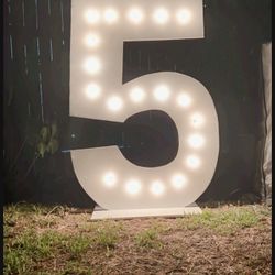 Light Up Number 5 For Sale