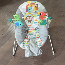 Baby Bouncer