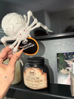 2 pcs Halloween Skeleton Spider Decoration poison jar decoration ceramic bottle and plastic spider decoration for Halloween haunted house