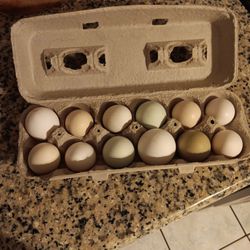 Ranch Free Eggs