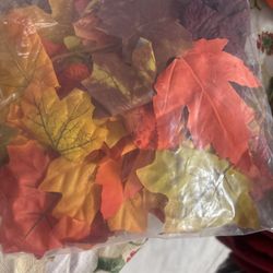 Bag If Artificial Autumn And Maple Leaves