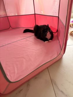 Pet pen