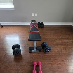 Workout Bench/Dumbells