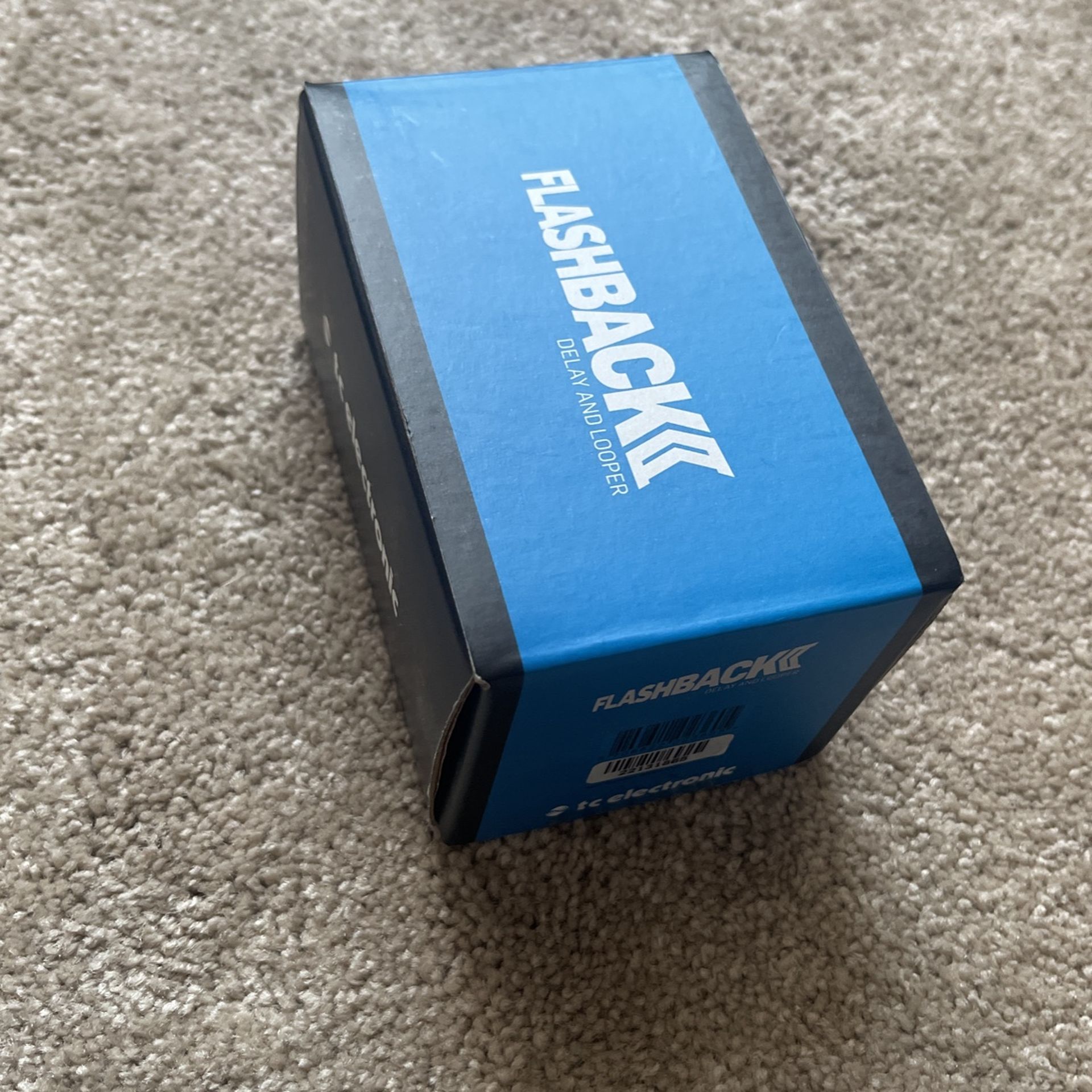 Flashback Delay Pedal