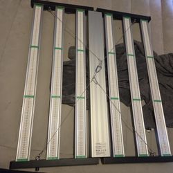 Phlizon Grow Light