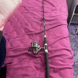 Fishing Pole And Reel $10