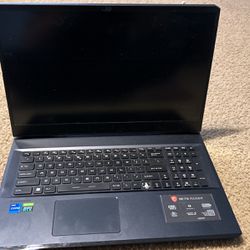 MSI GE76 Raider Gaming Laptop 2021