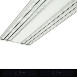Electric sky grow lights