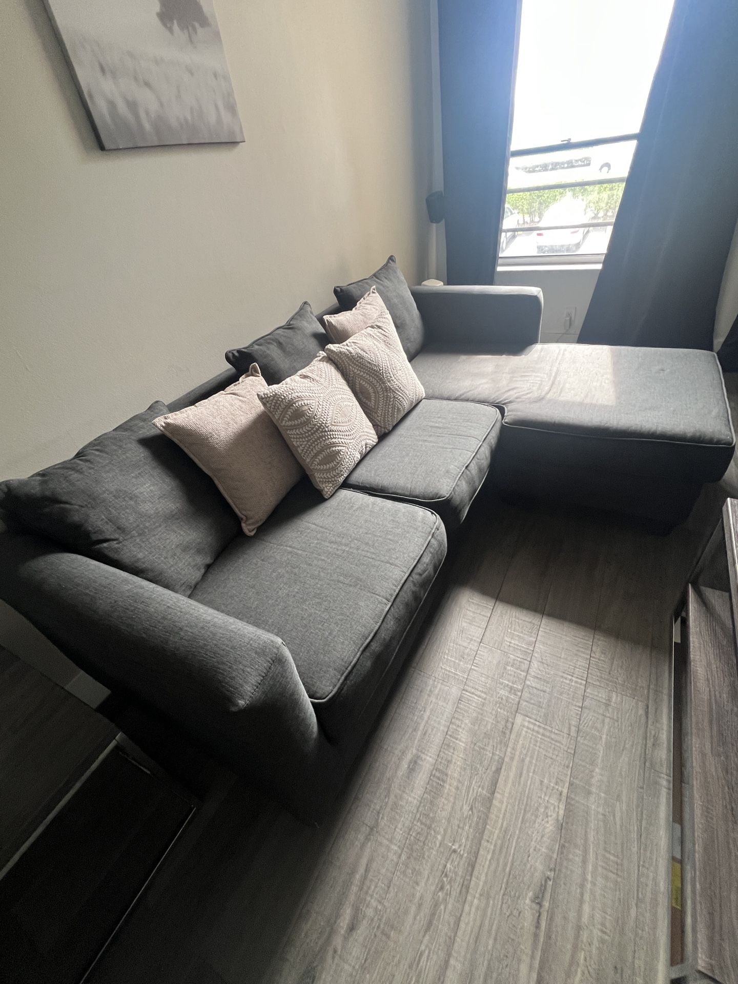 Sectional Couch
