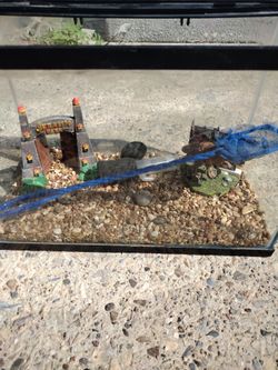 Aquarium