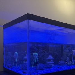 50 Gallon Fish Tank