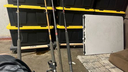 3 fishing rods