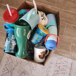 Free Cups Mostly Kids