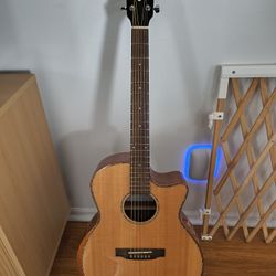 Acoustic/Electric Guitar Firefly