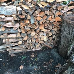 BBQ wood Apple and Cherry