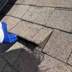 Roofing Specialist/ Roof Inspection