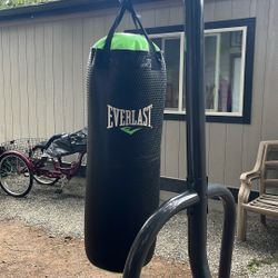 Everlast Punching Bag With Stand 