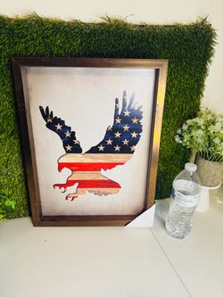American eagle picture! Home decor