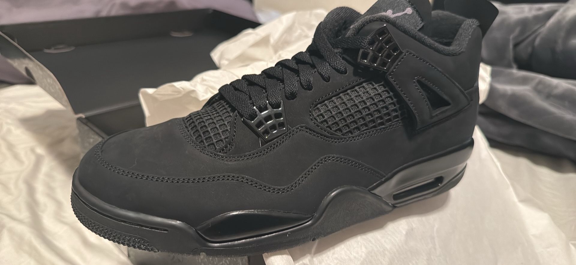 Air Jordan 4 Black Cats