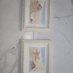 Hanging Picture And Shell 🐚 Hanging 